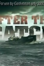 Watch After the Catch Megashare8